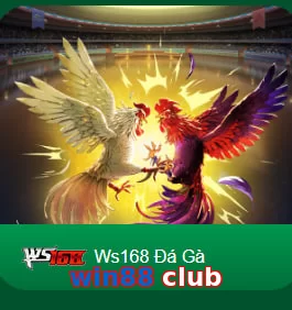 win88 club